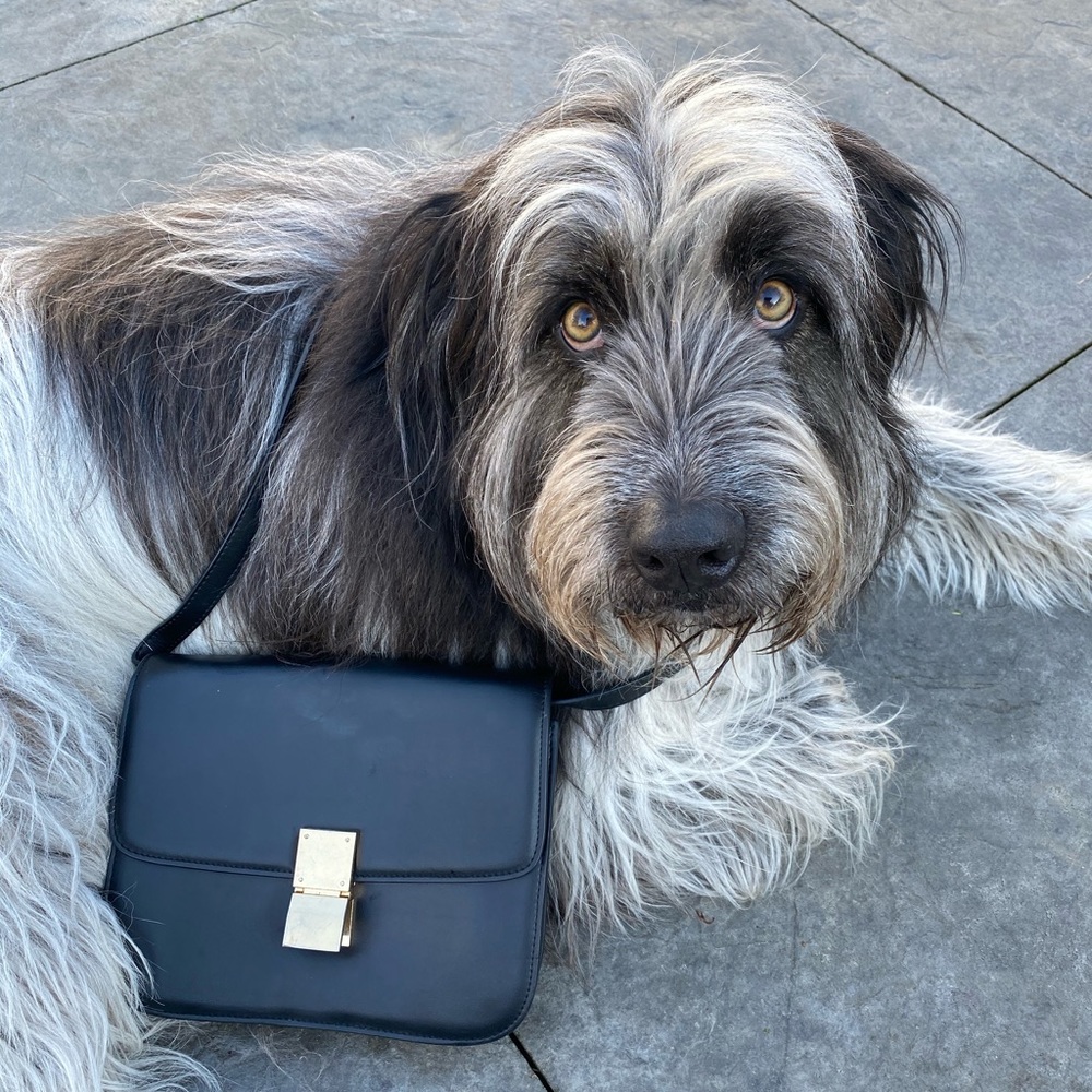 Celine cross body bag